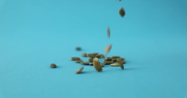 Oczyszczone Nasiona Dyni Niebieskim Tle Zbliżenie Żywność Ekologiczna Superjedzenie Płytkie — Wideo stockowe