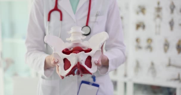 医者は人間の骨盤の骨格の一部を持っています クローズアップ 関節痛 整形外科クリニック — ストック動画