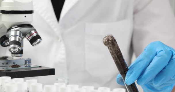 실험실에서 화학자는 실험용 튜브를 밀접하게 연결하여 보관하고 있습니다 화학적 분석을 — 비디오