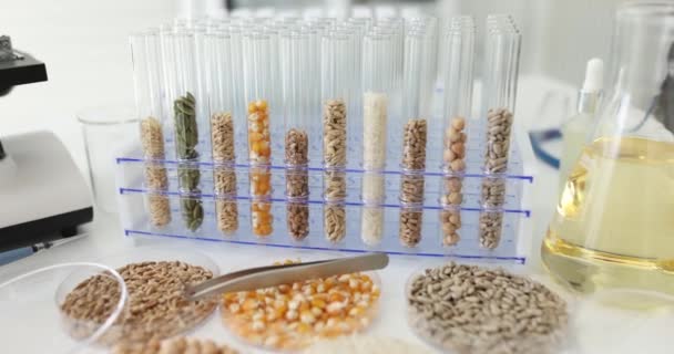 Das Labor Hat Saatgut Und Körner Reagenzgläsern Aus Nächster Nähe — Stockvideo