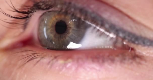 Κοντινό Πλάνο Της Γυναίκας Πράσινο Μάτι Μόνιμη Μακιγιάζ Ταινία Αργή — Αρχείο Βίντεο