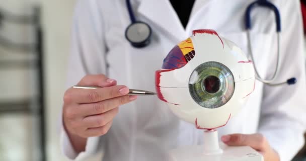 Οφθαλμίατρος Γιατρός Κρατάει Την Ανατομία Του Ανθρώπινου Ματιού Και Εξηγεί — Αρχείο Βίντεο