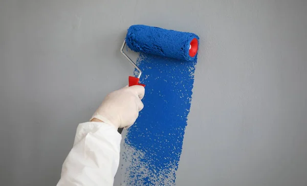 Close-up of professional builder painting wall in blue paint. Person holding roller for work. Grey wall. Change interior design in apartment. Renovation and construction site concept