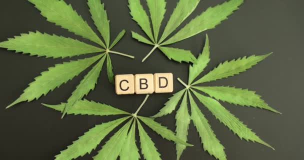 Cbd Marijuana Estudo Saúde Mental Resultados Cannabidiol Marijuana Medicinal — Vídeo de Stock