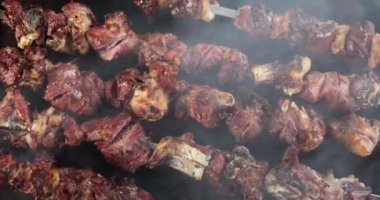 Barbeküde et şişi pişirmek. Açık ateşte barbekü pikniğinde et kebabı..