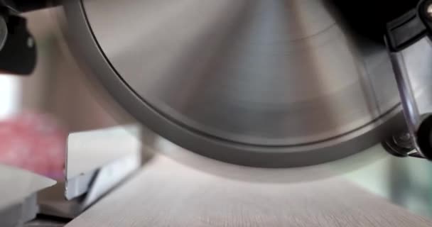 Tahta Kesmek Için Testere Döşeme Örtüleri Kesme Tahtaları Bir Disk — Stok video