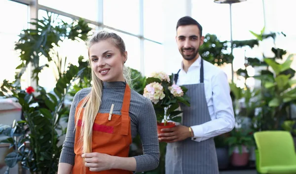 Beautiful Blonde Woman Florist and Man with Flower. Smiling Girl Gardener and Male Holding White Blooming Hydrangea in Domestic Plant Center. Female in Apron at Botanic Shop Looking at Camera Shot