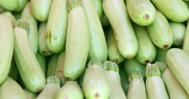 Spousta Zelených Cuket Pultu Trhu Potravinami Vegetariánská Koncepce Potravin Zdraví — Stock video