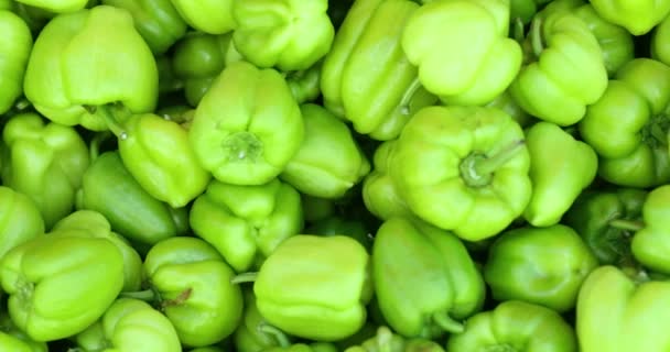 Termés Szaftos Zöld Édes Paprika Piacon Friss Zöldségek Egészséges Élelmiszer — Stock videók