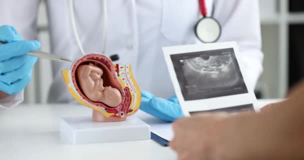 婦人科医はレイアウト上の子供に胎児を示しています 妊娠計画と胎児の発達 — ストック動画
