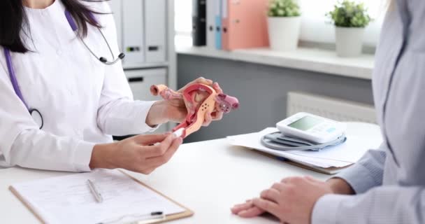 Doctor Showing Patient How Insert Hygienic Tampon Vagina Mock Uterus — Αρχείο Βίντεο