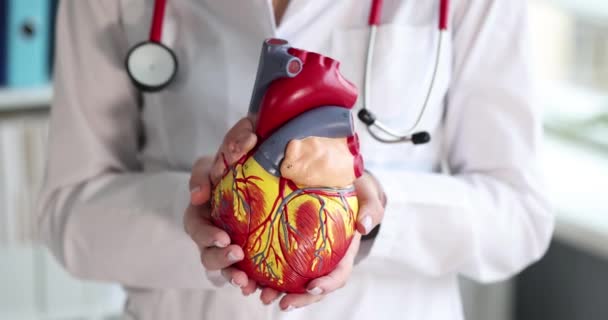 Доктор Тримає Модель Штучного Серця Клініці Крупним Планом Фільм Повільний — стокове відео