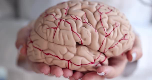 Medico Possesso Modello Artificiale Del Cervello Umano Primo Piano Film — Video Stock