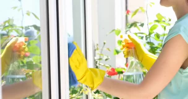 Händerna Handskarna Tvättar Fönstret Med Trasa Begreppet Städning — Stockvideo