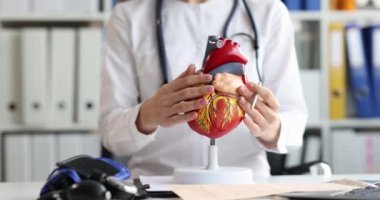 Kardiyolog kalp anatomisini gösteriyor. Kalp hastalıklarının teşhisi ve tedavisi