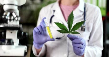 Marihuana bitkisinden çıkarılan cbd yağının laboratuvar testinde bilim adamı. Tıbbi kenevirden tıbbi eczane