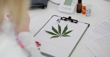 Doktor marihuana reçeteli belgelerini damgalıyor. Uyuşturucu kavramının yasal alımı
