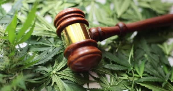 Juiz Martelo Folhas Verdes Marijuana Fecha Veredicto Lei Cannabis Medicinal — Vídeo de Stock