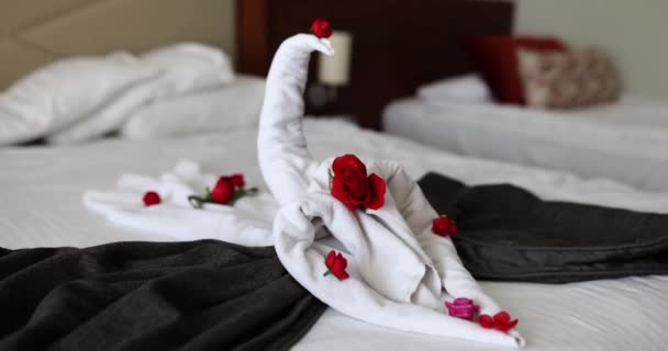 Otel Odasında Bir Hediye Gül Yapraklı Çift Yataklı Kuğulu Beyaz — Stok video