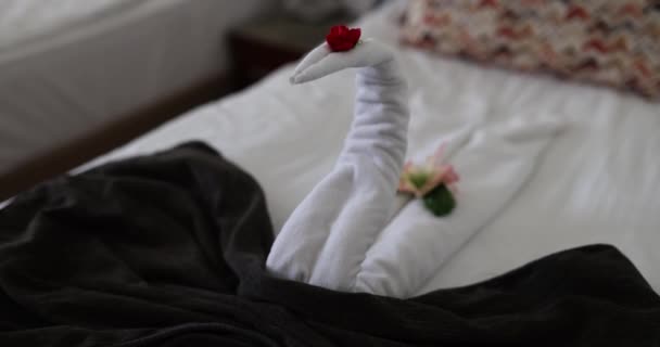 Schwanenfigur Aus Weißen Frotteetüchern Und Blumen Auf Dem Bett Hotel — Stockvideo