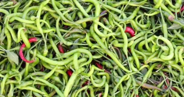 蔬菜市场上新鲜的青椒或辣椒 维生素C的来源和辣椒的好处 — 图库视频影像