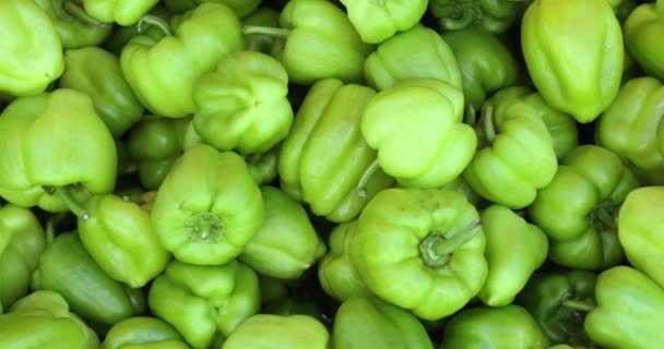 野菜市場で新鮮なジューシーなピーマン ペッパーの健康効果の概念 — ストック動画