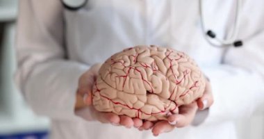 Doktor, insan beyninin suni modelini tutuyor. 4k film yavaş çekim. Sinir sistemi konseptinin anatomisi