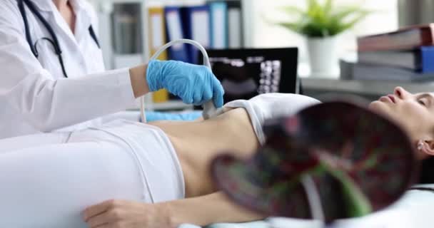 Ultrasound Diagnostics Stomach Abdominal Cavity Liver Doctor Runs Ultrasound Probe — ストック動画