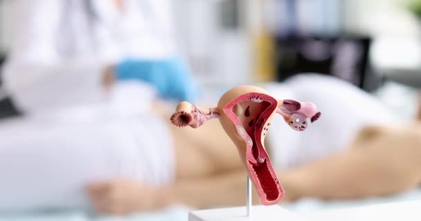Doutor Conduz Ultrassom Útero Mulher Clínica Doenças Sistema Reprodutivo Feminino — Vídeo de Stock