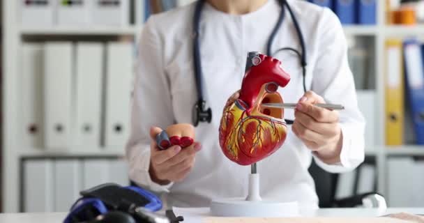 Médico Cardiologista Com Estetoscópio Mantém Modelo Coração Humano Nas Mãos — Vídeo de Stock