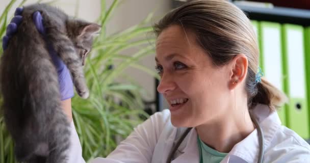 Šťastná Veterinářka Vyšetřuje Koťátko Klinice Koncept Lékařských Veterinárních Služeb — Stock video