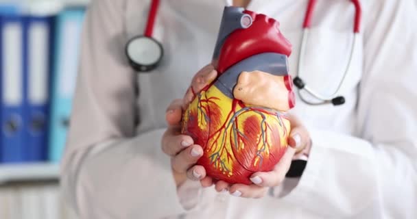 Doctor Sosteniendo Modelo Artificial Corazón Humano Película Cámara Lenta Anatomía — Vídeos de Stock