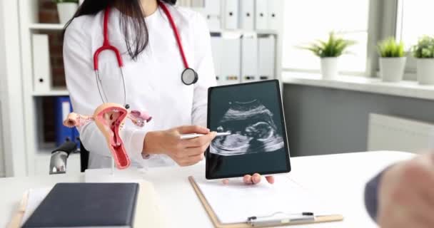 임산부에게 초음파로 디지털 태블릿을 필름느린 동작을 산부인과 의사입니다 임신부의 — 비디오