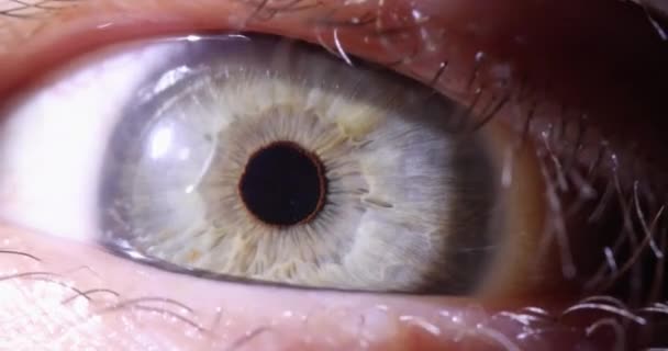Grünes Männliches Auge Blinkt Makro Film Zeitlupe Anatomie Des Augenkonzepts — Stockvideo