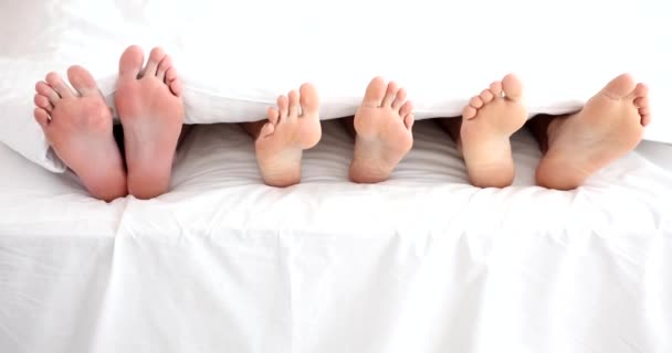 Legs Woman Two Men Bed Bedroom Polygamy Men Women — Αρχείο Βίντεο