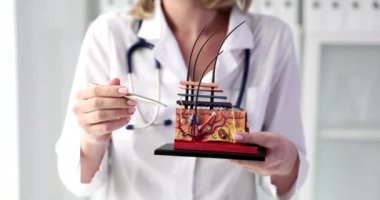 Doctor cosmetologist explains anatomy of structure of skin. Causes of premature skin aging