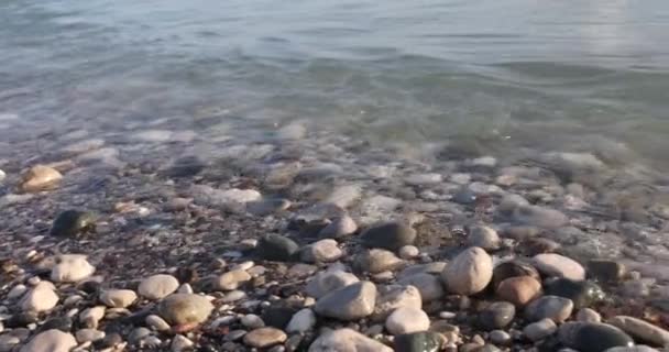 Крупним Планом Кам Янистий Пляж Сонячний День Морський Пляж Камінням — стокове відео