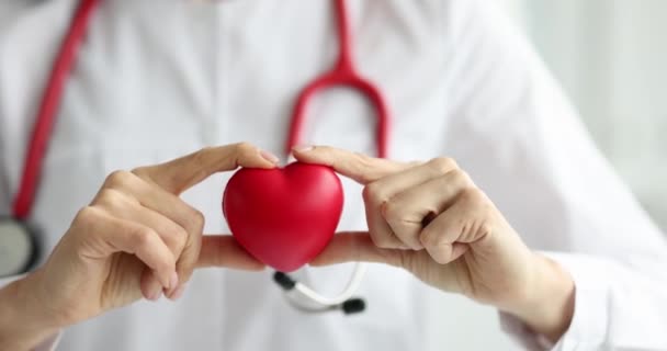 Kardiolog Trzyma Małe Czerwone Serce Choroby Układu Sercowo Naczyniowego — Wideo stockowe