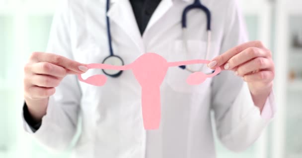 Dokter Ginekolog Memegang Model Rahim Dan Ovarium Wanita Closeup Film — Stok Video