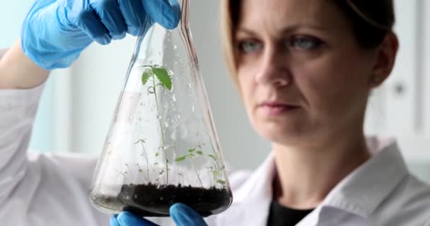 Biólogo Cientista Olhando Para Planta Verde Brotar Frasco Laboratório Closeup — Vídeo de Stock
