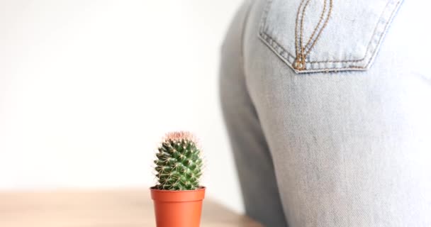 Female Butt Siting Flower Pot Cactus Plant Closeup Movie Slow — Vídeo de Stock