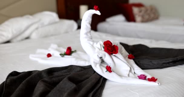 Otel Odasındaki Beyaz Havlularda Iki Yataklı Gül Yapraklı Kuğu Resmi — Stok video