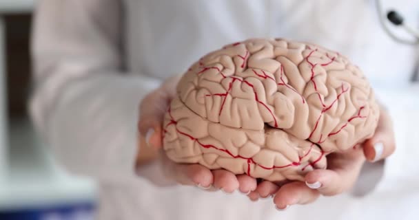 彼の手の中に人間の脳の人工モデルを保持している医師神経科医は 4K映画スローモーションを閉じます 脳梗塞の概念の治療 — ストック動画
