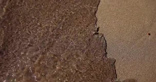 로인해 이모티콘 바다로 쓸려가 버린다 기분나쁜 — 비디오