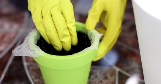 Großaufnahme Von Behandschuhten Händen Die Erde Blumentopf Rühren Bodenvorbereitung Für — Stockvideo