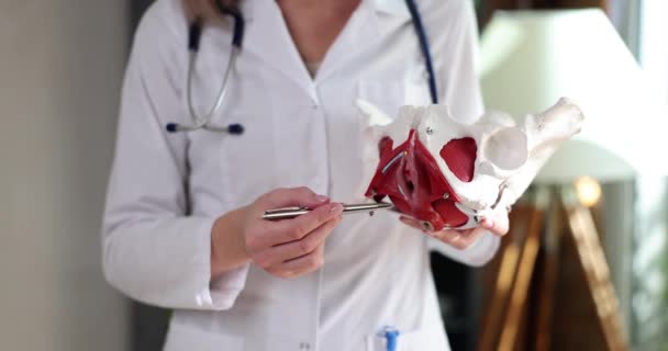 Doktor Gynekolog Anatomie Kyčelního Kloubu Klinice Bolest Pánevních Kostí Příčiny — Stock video