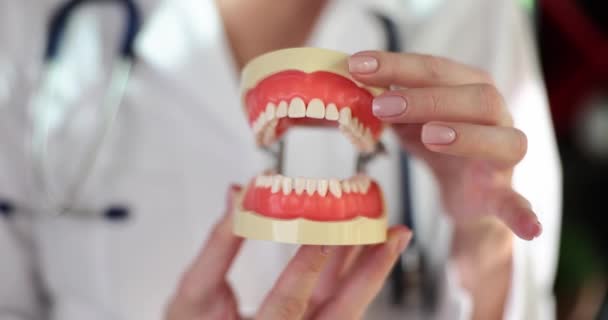 Dişçinin Elinde Beyaz Dişlerle Çene Sunumu Diş Hizmetleri Kavramı — Stok video