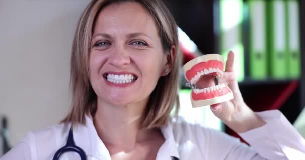 Доктор Стоматолог Красивыми Ровными Зубами Держит Челюсть Концепция Стоматологических Услуг — стоковое видео