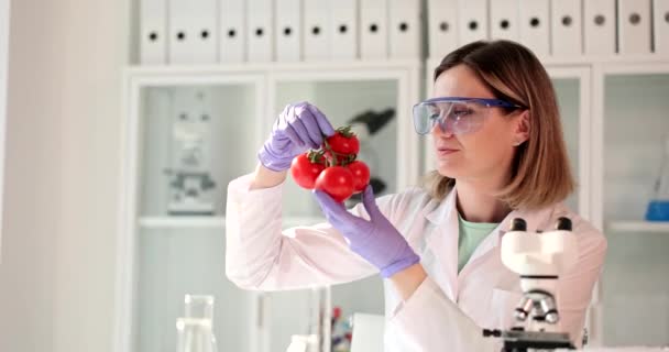 Женщина Ученый Лаборатории Изучает Помидоры Нитраты Токсины Овощей — стоковое видео