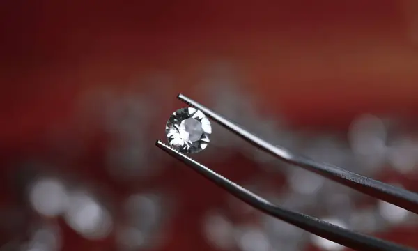 Metallzangen Mit Transparentem Diamanten Nahaufnahme Juwelen Checken Vielen Gesichtern Schimmert Stockbild